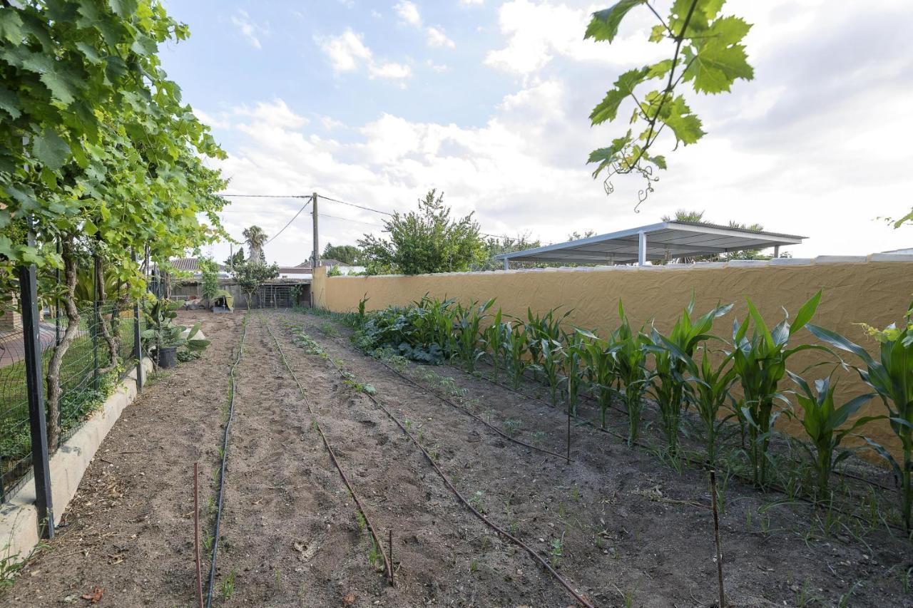 Rincon De La Huerta Βίλα Chiclana de la Frontera Εξωτερικό φωτογραφία